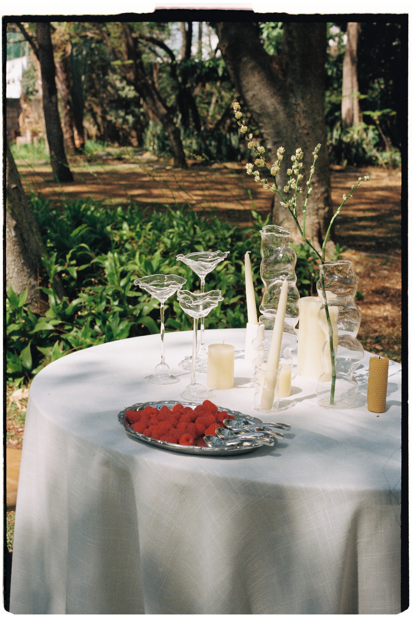 M de Martini