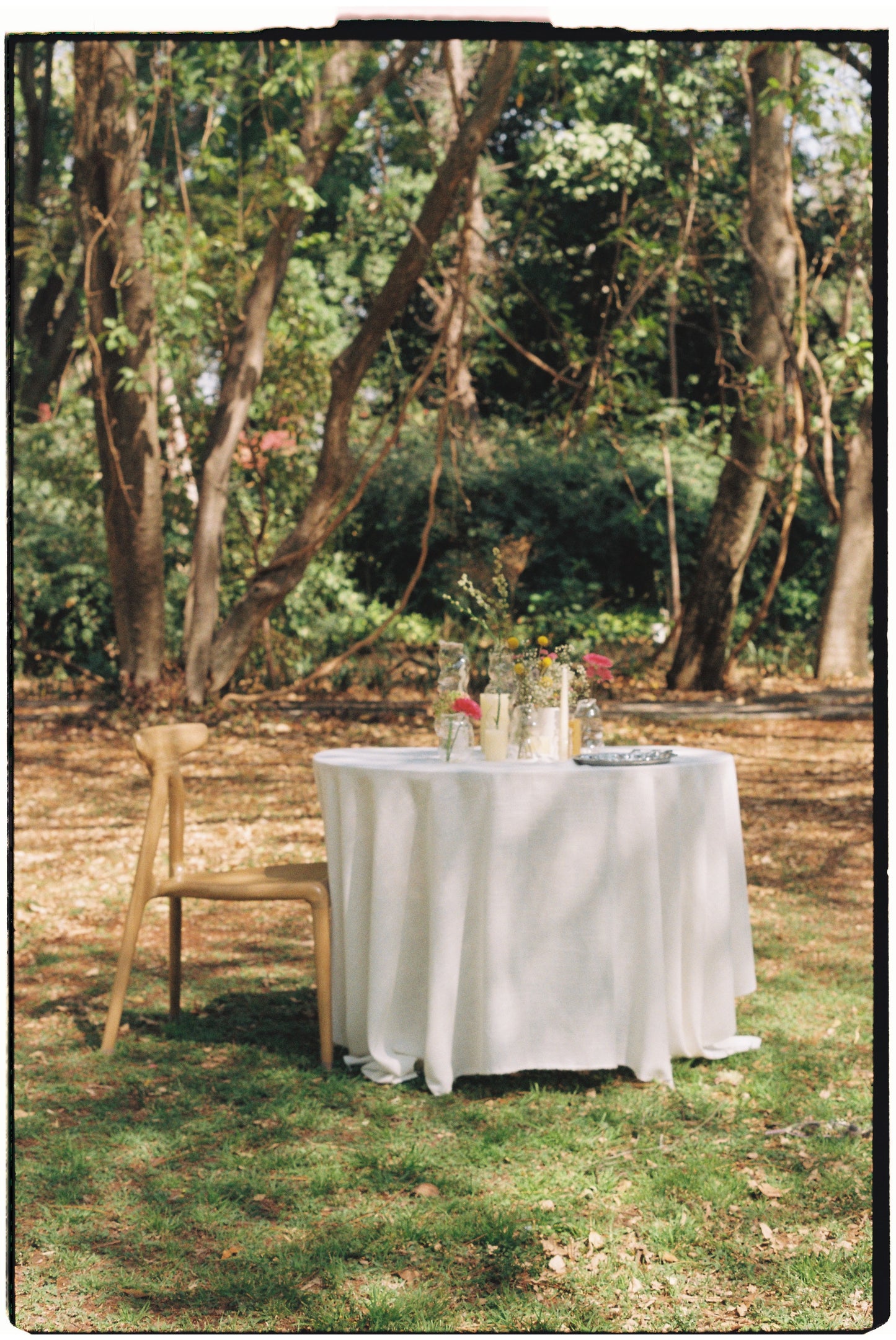 El Jardín Secreto